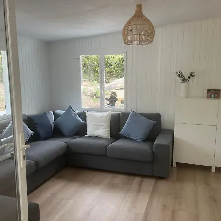 - Maguide -modern بيسكاروس