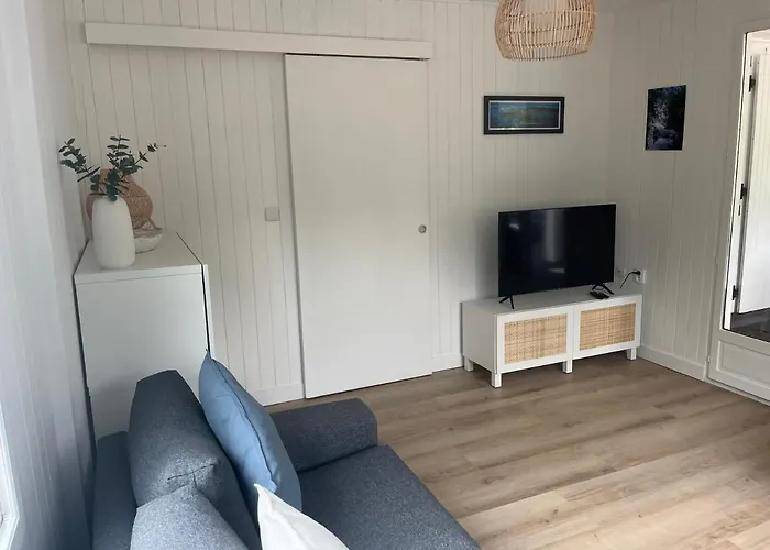 - Maguide -modern Chalé Biscarrosse